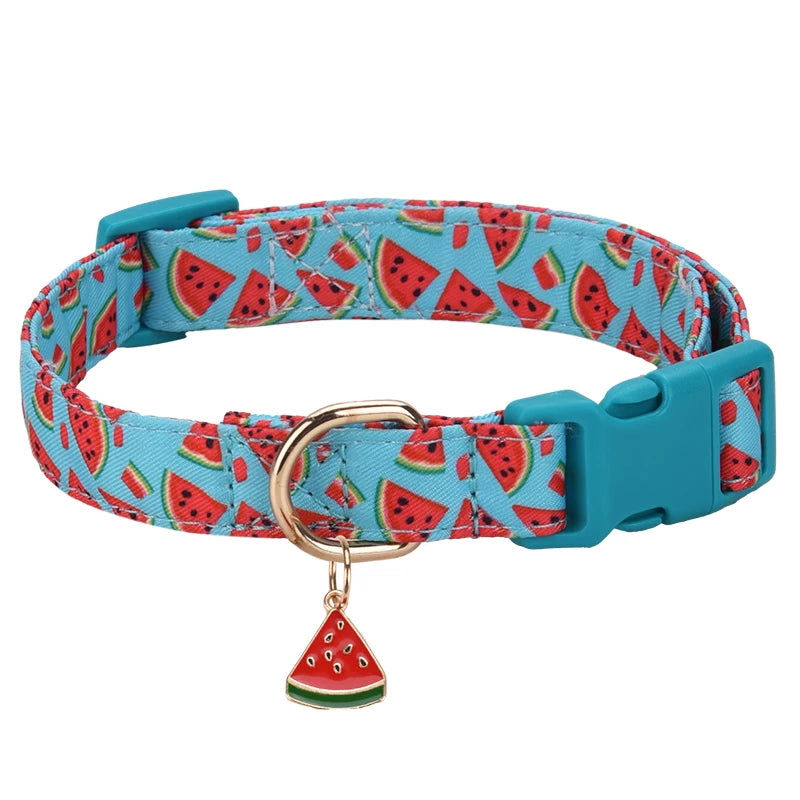 Fun Pattern Dog Collars