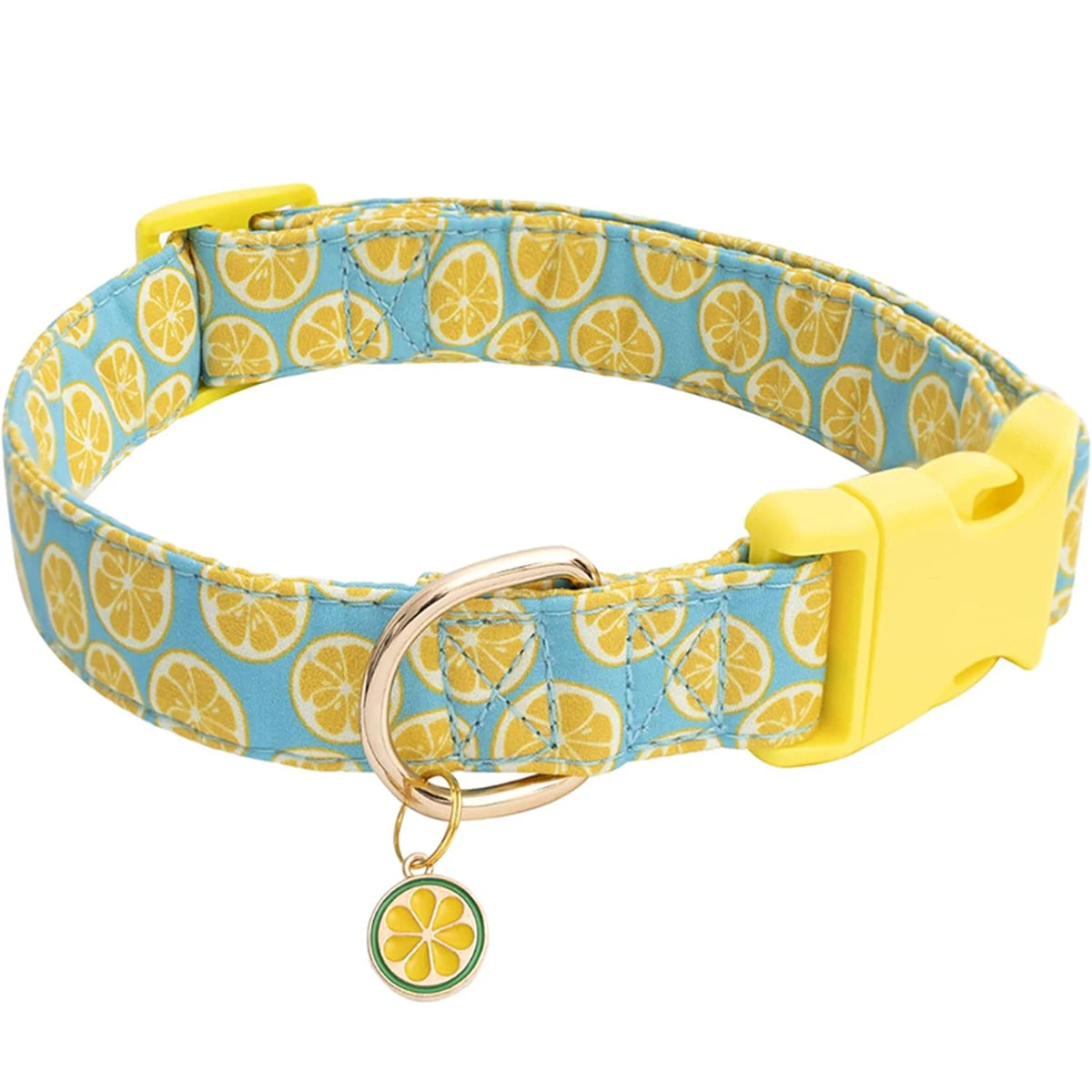 Fun Pattern Dog Collars