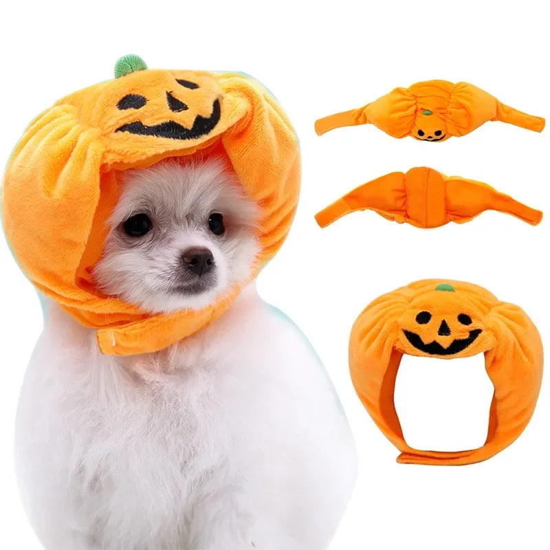 Poochin Pumpkin Dog Hat